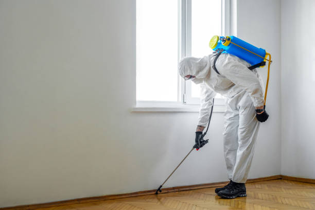 Best Fumigation Services  in Sea Bright, NJ